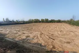 残疾村民租地种药材收割前被铲毁，警方通报：因土地承租纠纷，一村民指使他人所为，已对其采取强制措施图片