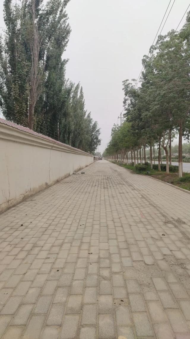 若羌待了4天有些无聊，不过也有些有意思的地方