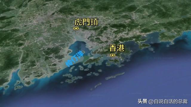 南澳鱼胶 2026年南澳鱼胶批发市场地址