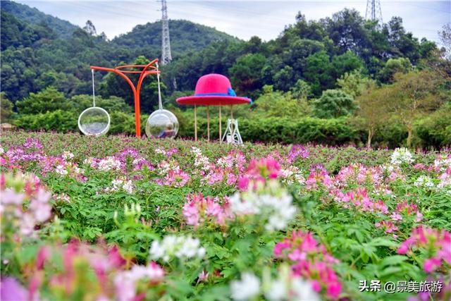国庆相约卡玛花世界：花海中邂逅秋日浪漫，花篮小径中留下倩影