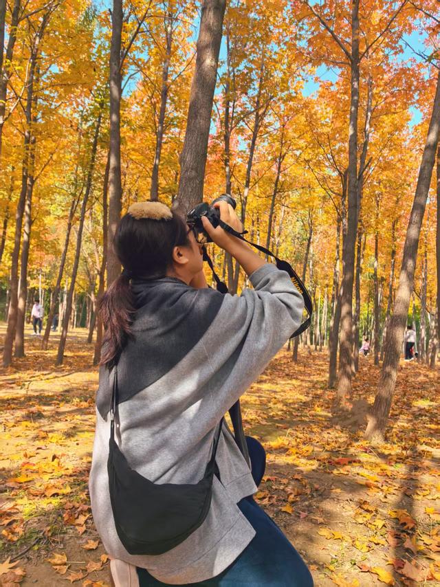 “枫”狂派对，现在进行时……