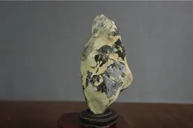 我的上半生图片