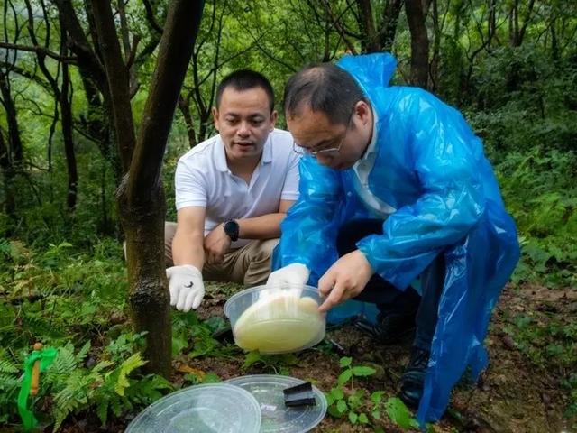 野外仅存600多只!浙江4人徒手抓26只,价值10多万
