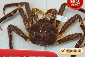 俄罗斯帝王蟹价格平民化：帝王蟹进口量或增五成 俄罗斯帝王蟹跌破500元图片