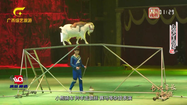 《书记县长当导游·平南篇》重磅播出！书记邀您畅游平南！