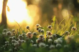 乖乖女与渣男的情感纠葛，暧昧的诱惑，“这3类人千万不要暧昧”图片