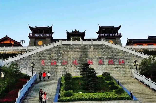 乡游黔中 · 德江县 桶井土家族乡丨乌江畔金菊漫山,秋韵正浓