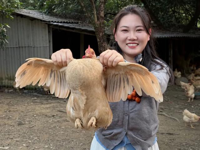 泥烩鸡、采摘、露营、民宿……肇庆这个500亩庄园，太会玩了！