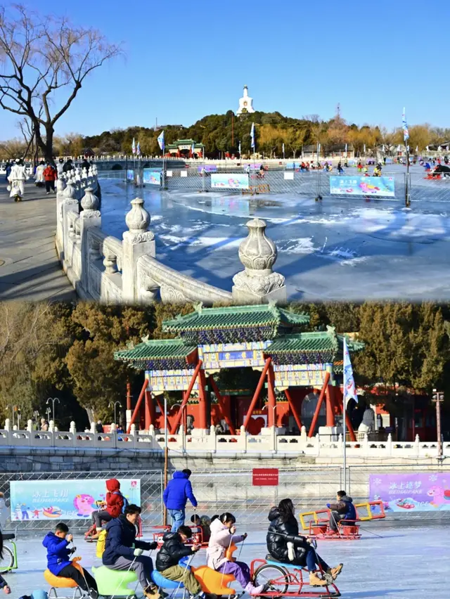 北京又一天然冰场迎客！蜡梅进最佳观赏期！