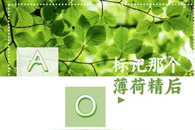 标记那个薄荷精后「女A男O」（1）图片