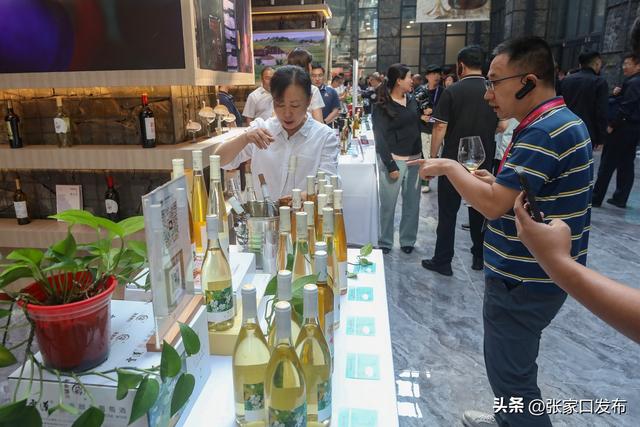 张家口 我的向往