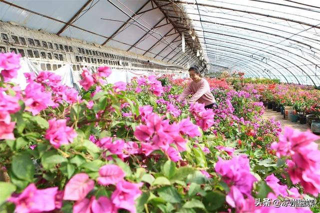 被甘肃“暖”到了！