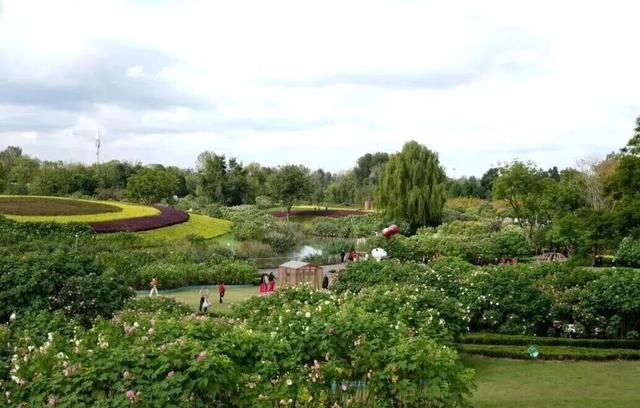 滴！赏秋“快递员”小园，持续为您派件→