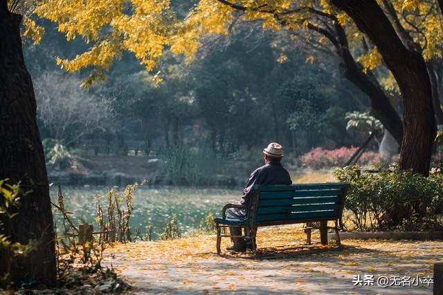 突然发现，不止是年轻人，老年人也要多出去旅游才行
