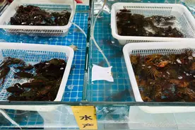 少量上市！太仓吃货们，快冲！图片