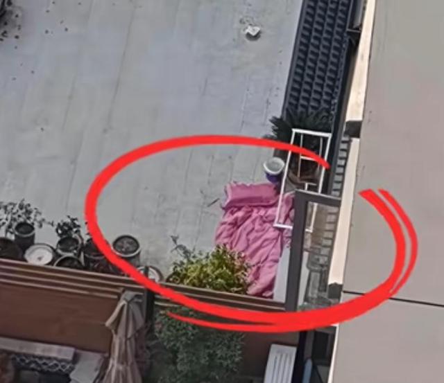 跳楼女教师续：遗体搁置谜团曝光	，已火化安葬，女家未提及退彩礼