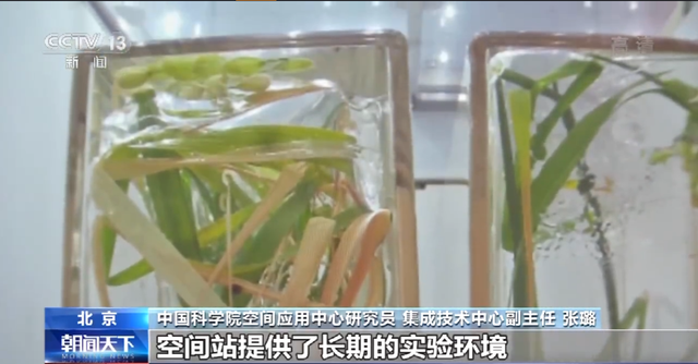 神舟21号，在酒泉发射！