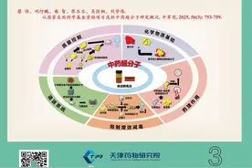 山茱萸化学成分和药理作用的研究进展图片
