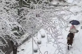 寒潮+大风+首场透雨来了！辽宁局地还有大到暴雪！时间就在……图片