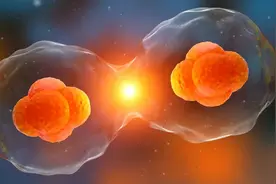 100%的疾病控制率！肺癌耐药难题又迎来一个新的解决方案！图片