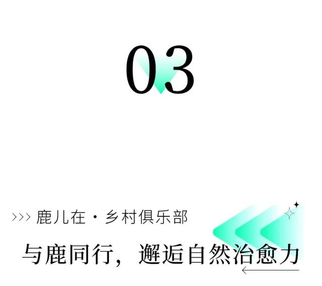 别等了，你梦想中的那间民宿已上线！