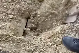 国外警察调查凶杀案，听到土里传来哭声，竟挖出被活埋4天的大叔图片