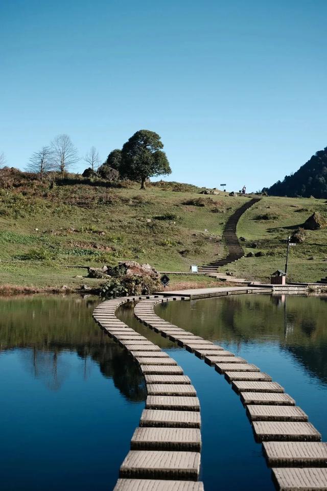 秋天还没过够？那就去乐山留住秋天！