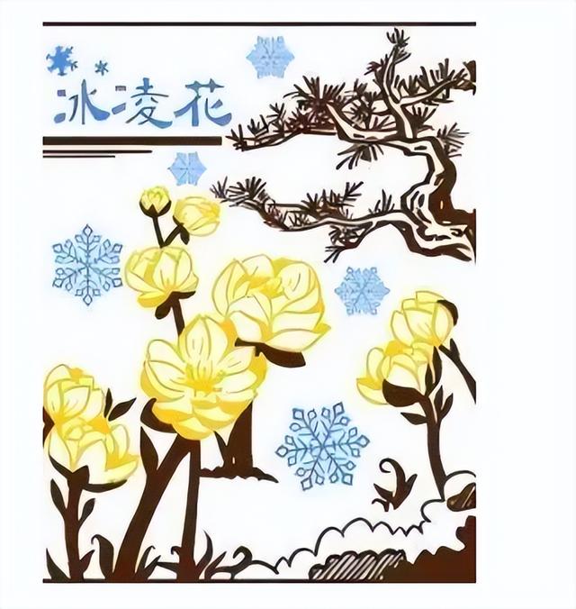 放假宠粉~送净月潭星空缆车门票啦