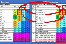 妈妈11mm实性结节求精准诊断，高危结节已经浸润消炎后及时治疗图片