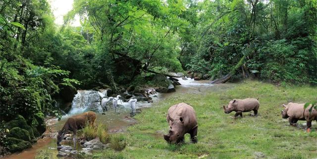 全国媒体达人云南行——走进湄公河旅游旗下项目 深度体验普洱文旅融合发展新成果