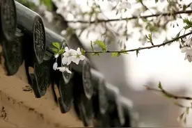 十大经典佛语，你能悟透多少？图片