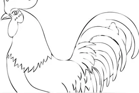 原来画公鸡，这么简单图片