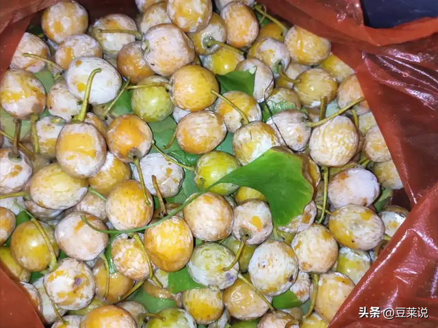 日本人靠它发财	，美国人用它打仗，中国人却把它当毒药扔进垃圾桶