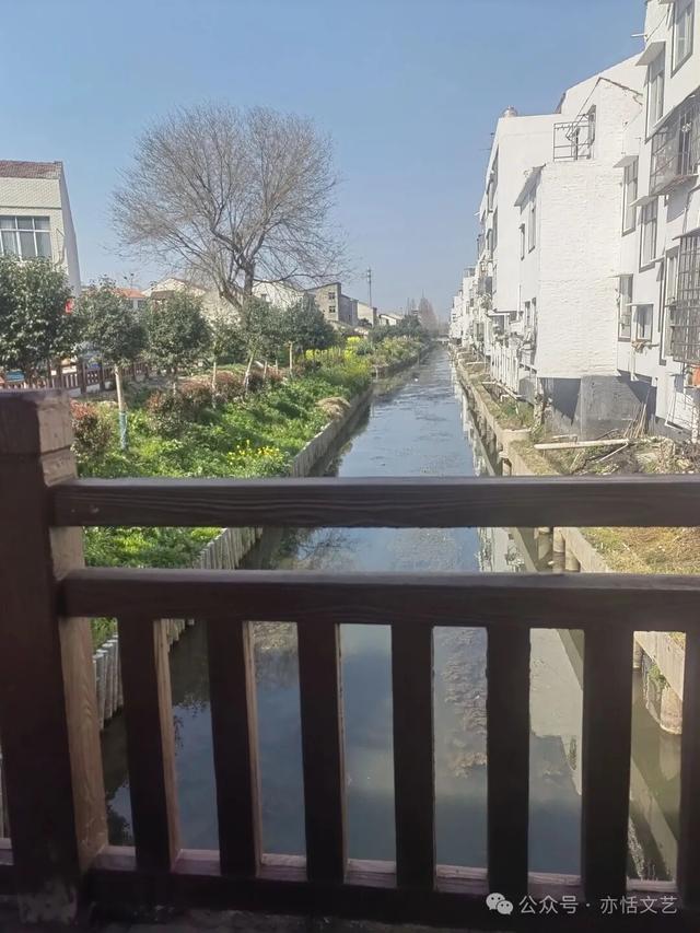 品早酒、赏花海、游古镇