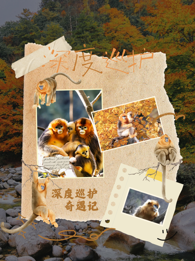 限定开放！唐家河红叶迎来最佳观赏期，现在出发正当时！