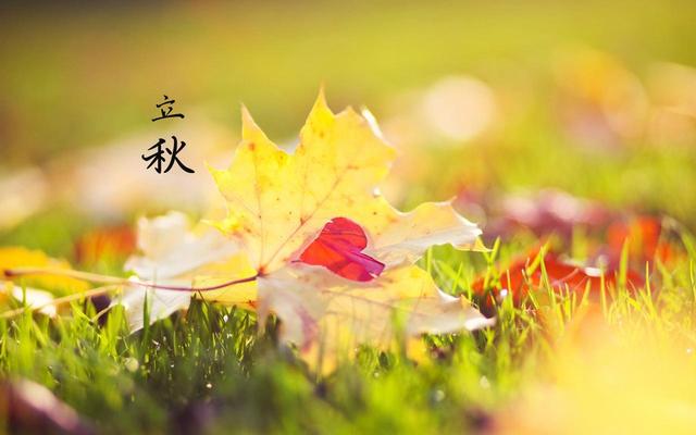 明日立秋是“关键日”？立秋牢记3个忌讳：3不吃、2不吹、1不冻