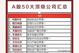 中国10大世界第一的公司、50大全球顶级科技公司名单出炉！图片