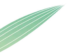 买粽子不只有马鞍路！这份买粽地图，成都公交为您整理好了～图片