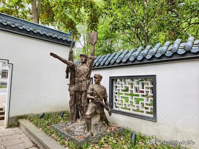 成都古镇（15）郫县唐昌古镇崇宁公园·大椿巷