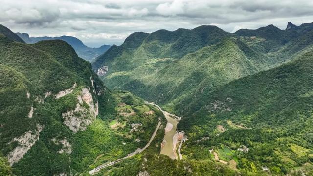 守护生态秘境——走进徽县三滩森林公园