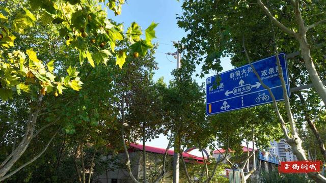 【图说钢城㊻】秋意浓如酒，沉醉在钢城的街道美景中