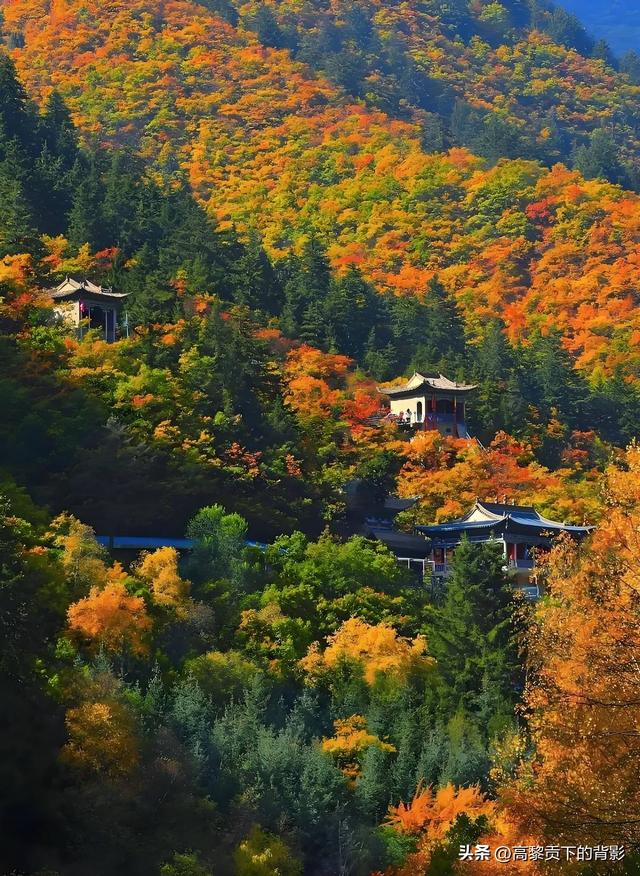 寻幽兴隆山：陇右第一名山的秋日私语