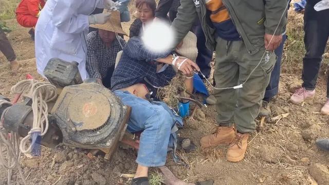 玉米地里传来惨叫！64 岁农妇半截身子被吞，天黑抢收的代价太惨痛