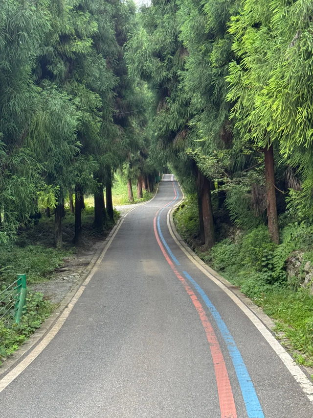 成都1.5h || 25℃天然空调+徒步避暑，这个地方带娃遛狗太绝了！