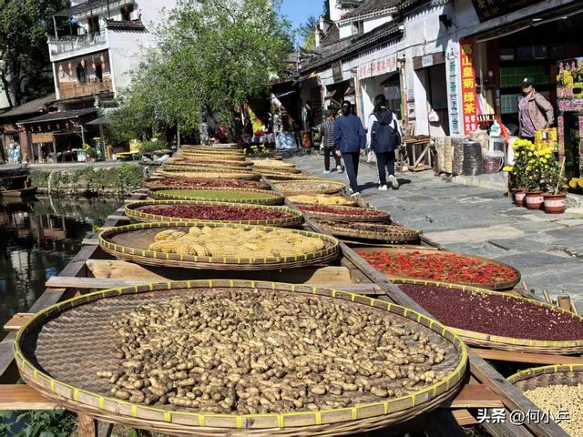 单祖英：从宜兴到澄迈，战友相伴的暖冬南行记