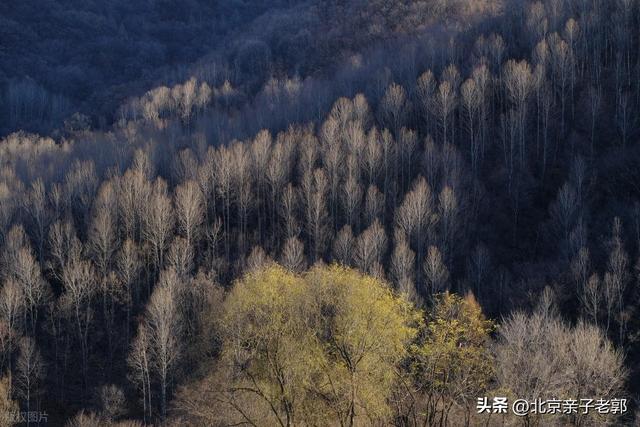 北平深秋寻幽 六处小众秘境