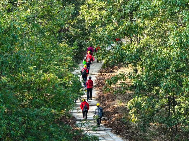 明光徒步新选择!