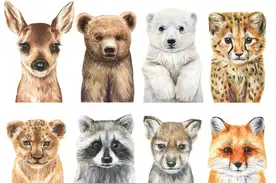 day18:【动物世界篇】每天10个冷知识，当有趣灵魂的万事通图片