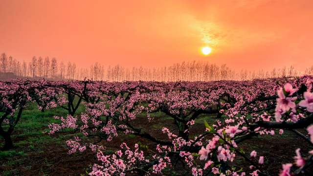 看不完，根本看不完！