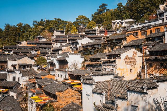 婺源篁岭，那一面朝南的山坡，全是春天